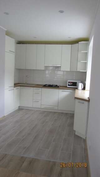 Апартаменты Dream&Travel Apartment Трускавец Апартаменты Делюкс-18